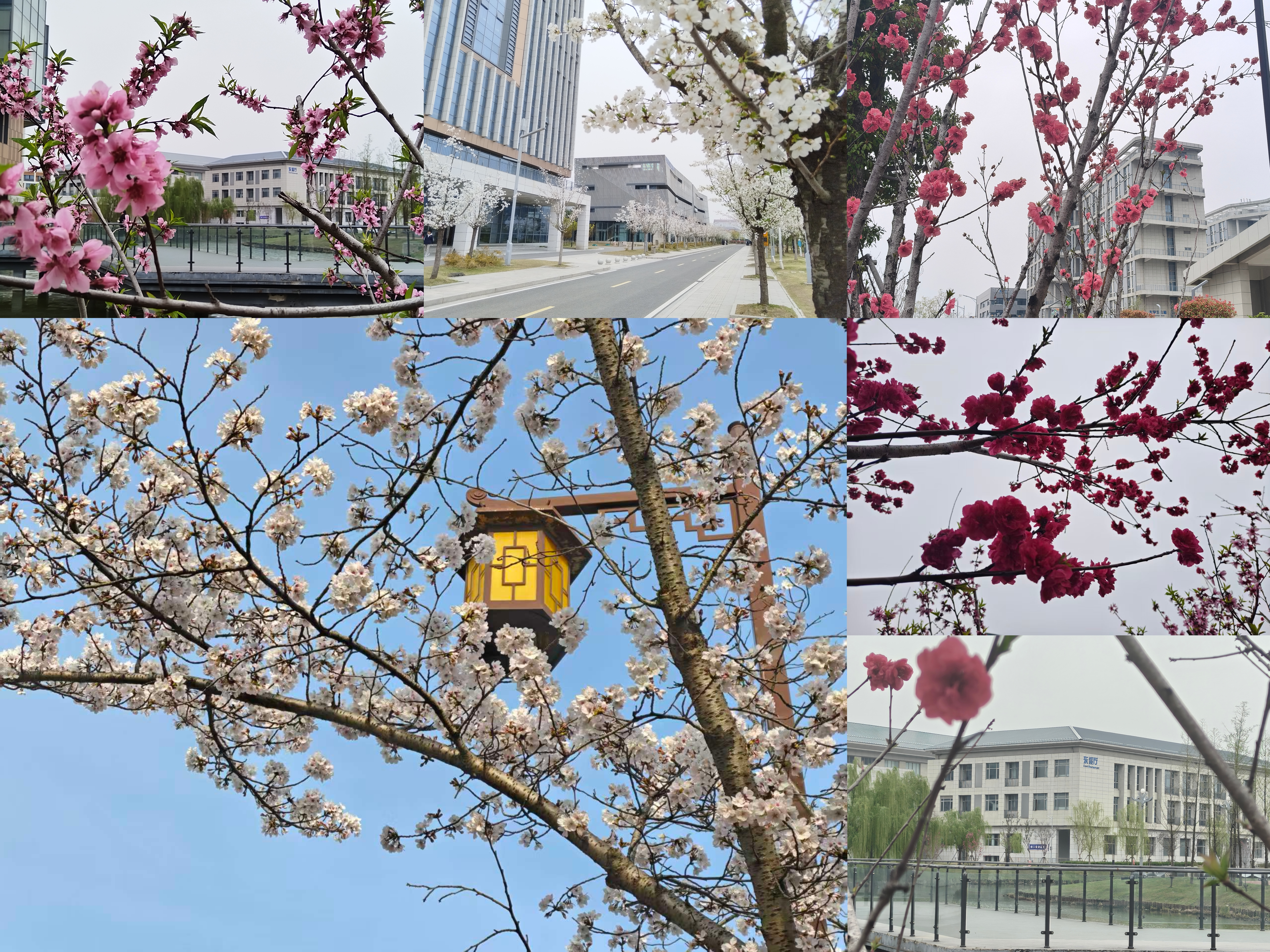 图片2.jpg 图片2.jpg