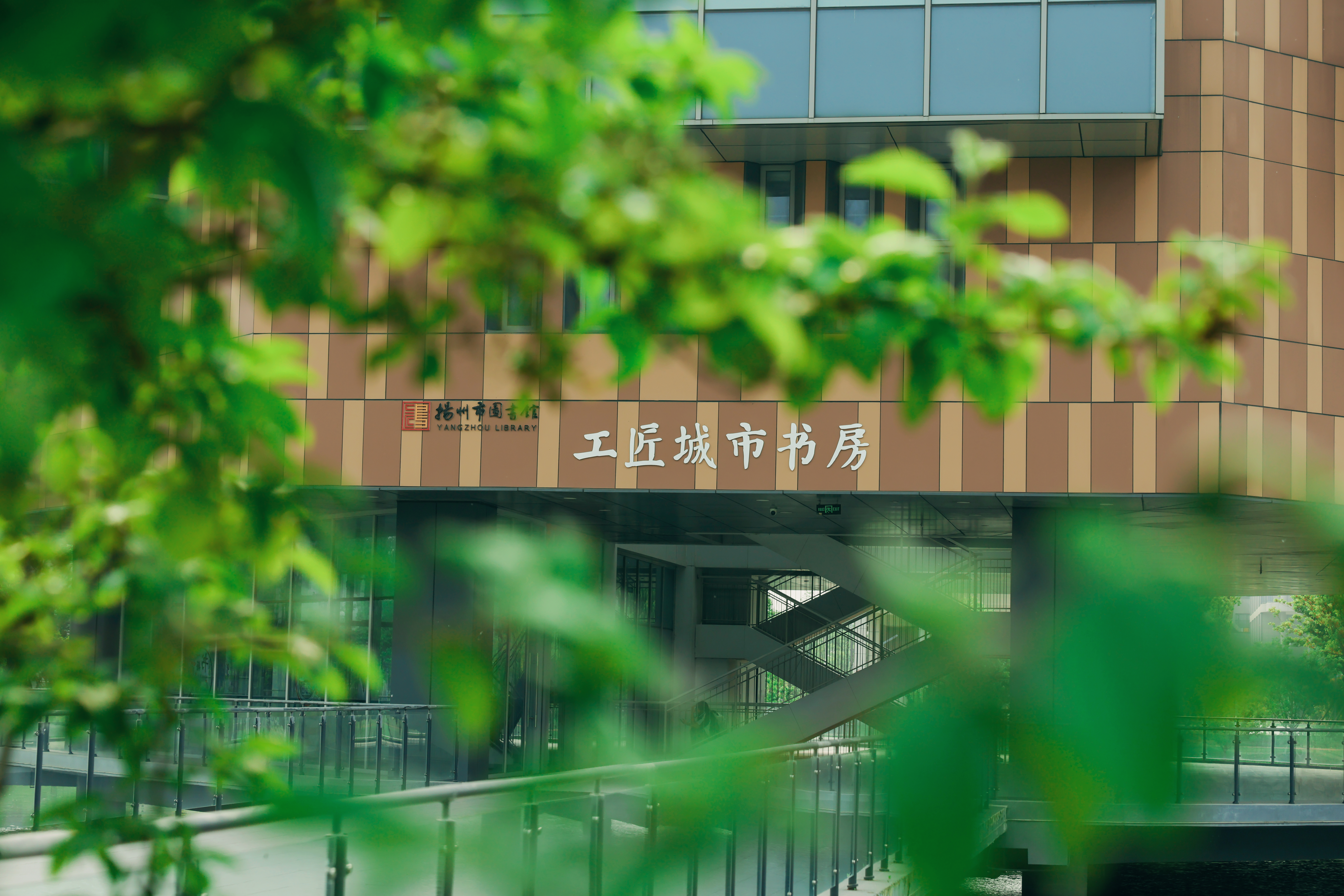 叶间书香